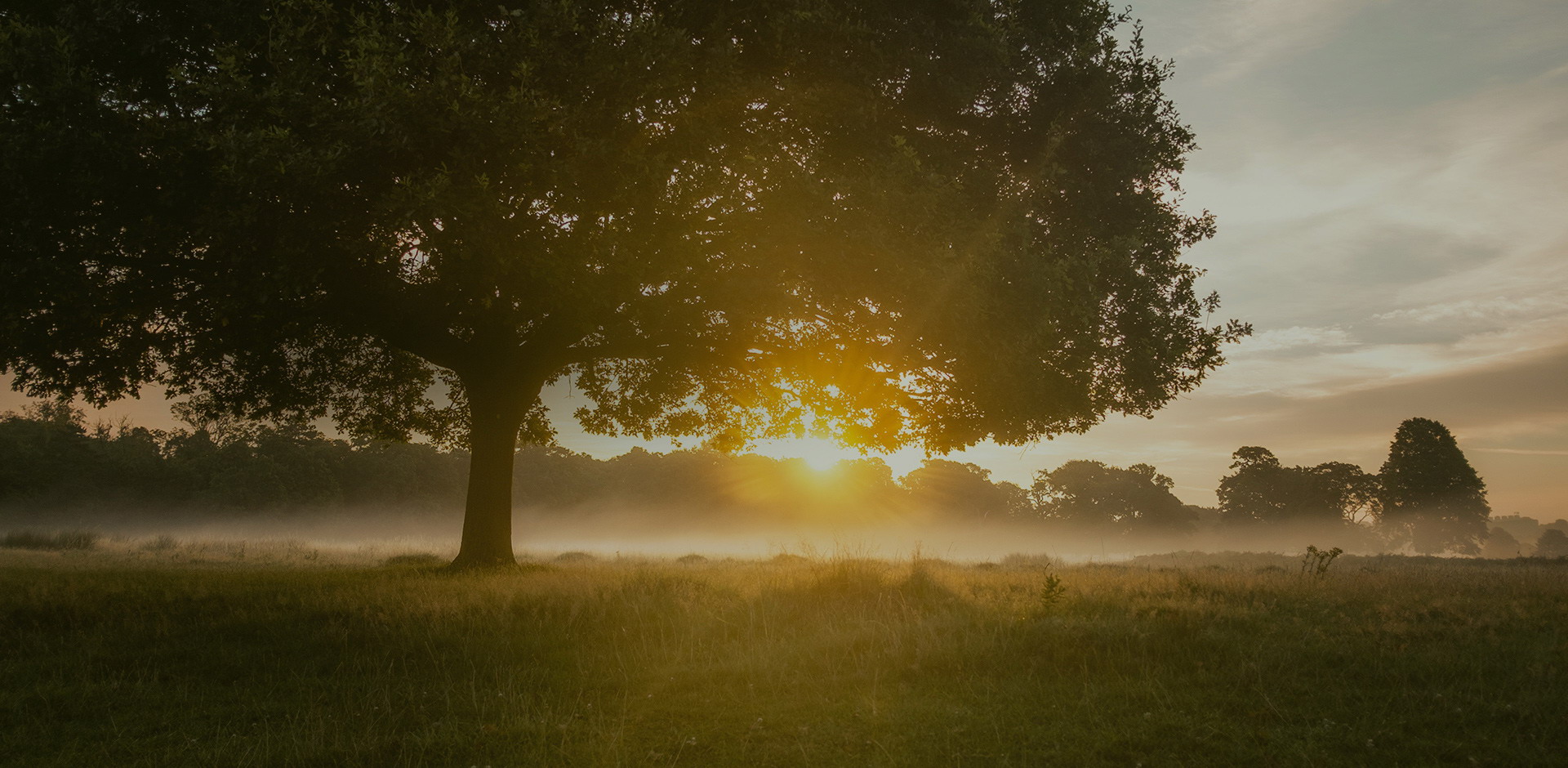 ������Դ